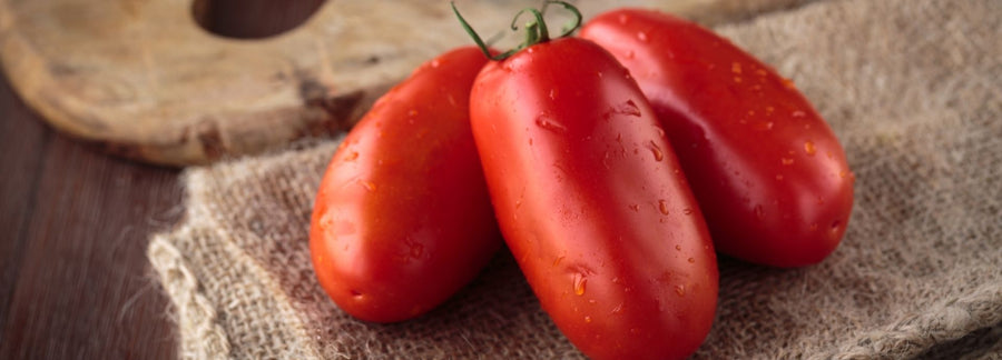 Imported Italian Tomatoes